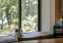 Braddell View (D20), Apartment #534681701